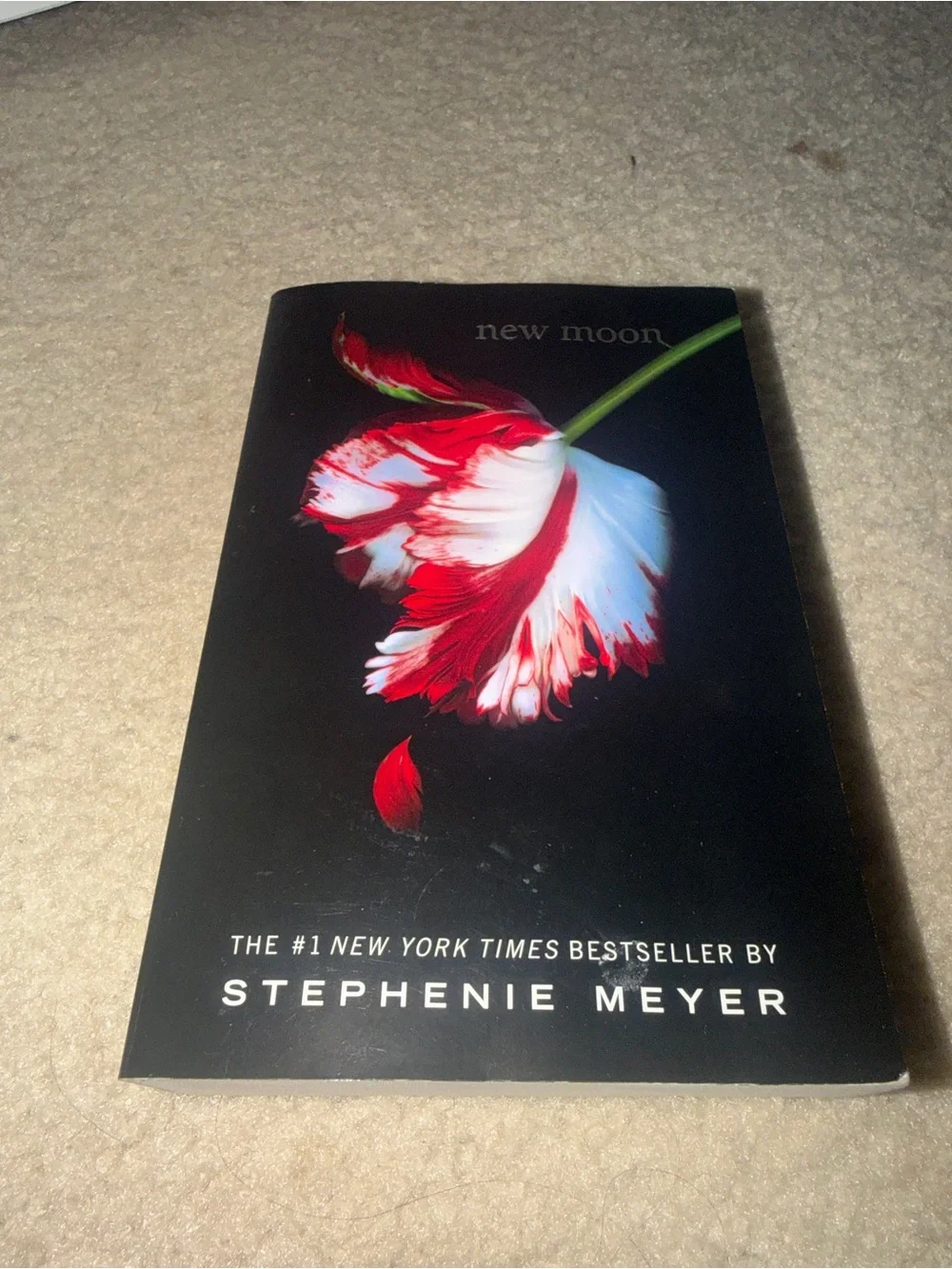 Target Black Notebook with Red and White Floral Cover - New Moon Style